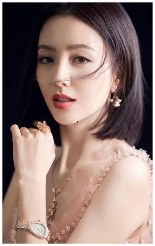 女明星网红合集视频在线,女明星网红合集风采展示