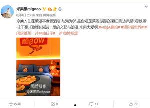 欢迎明星网红打卡的句子,明星齐聚的潮流盛宴