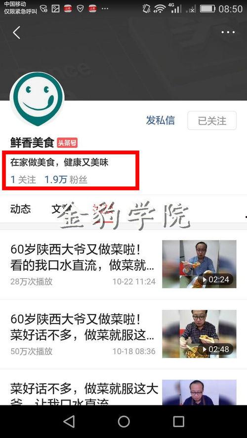 今日头条万能瓜爷,揭秘今日头条背后的神秘力量