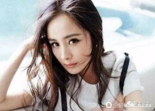 情感明星网红排名榜,盘点人气爆棚的璀璨之星