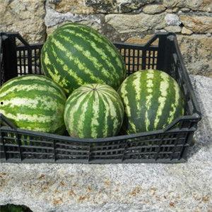 今日份新鲜大瓜,笑料连连，揭秘娱乐圈幕后趣闻