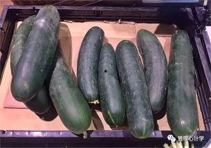 今日份新鲜大瓜,笑料连连，揭秘娱乐圈幕后趣闻