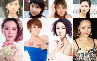 明星网红成名前的照片,揭秘明星网红成名前的蜕变之路