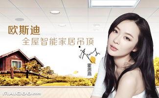 如何评价明星网红代言品牌,影响力与市场效应深度解析