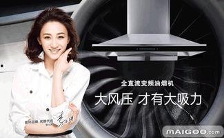 如何评价明星网红代言品牌,影响力与市场效应深度解析