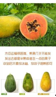 今日红河州瓜价,今日瓜价行情一览