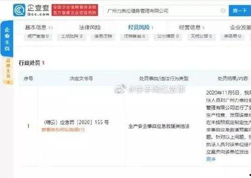 明星网红闲鱼名字id,明星同款，网红爆款，一网打尽！