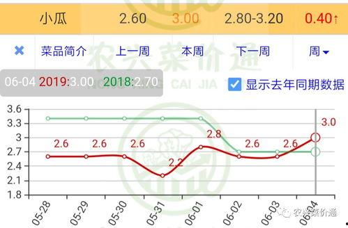 今日小瓜走势图表最新版,最新版揭示市场动态与趋势分析