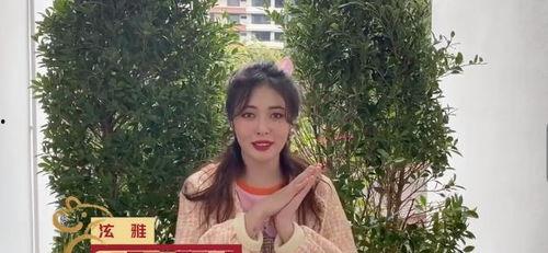 明星网红来海南了吗视频,精彩瞬间尽收眼底