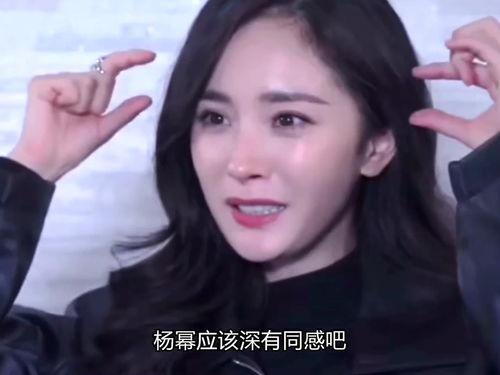 明星网红现在有多火了,当红炸子鸡的璀璨时代