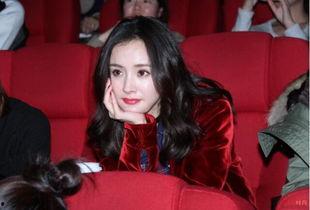 明星网红现在有多火了,当红炸子鸡的璀璨时代