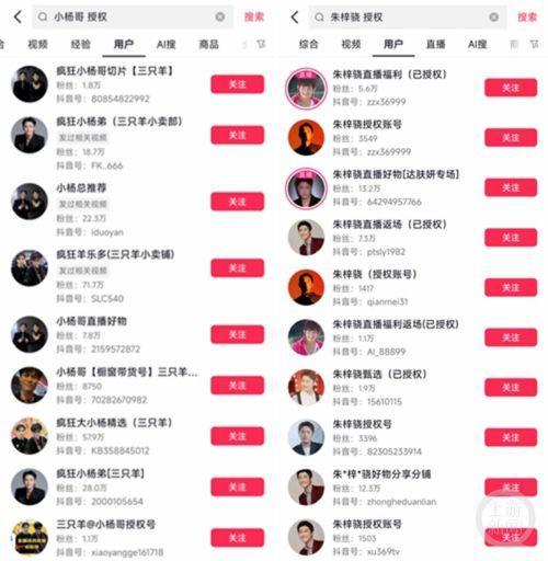 明星网红切片怎么授权的,轻松掌握版权使用之道