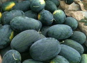 黑瓜今日价格,市场动态解析”