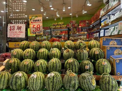 新发地麒麟瓜今日价格,价格行情一览”