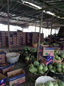 新发地麒麟瓜今日价格,价格行情一览”