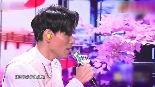 明星网红现场保镖叫什么