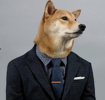 明星网红男生大全图片高清,高清揭秘当红明星网红男生风采