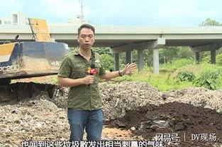 今日增城瓜岭新闻