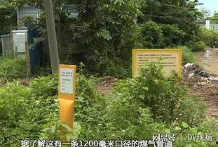 今日增城瓜岭新闻