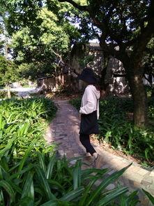 今日增城瓜岭新闻