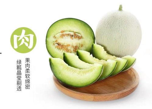 王旗营今日小瓜价格多少,新鲜上市，实惠价享丰收季”