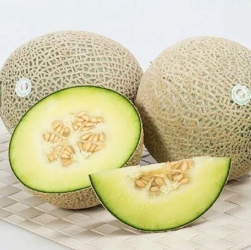 今日哈密瓜网纹瓜价格,品质之选，价格波动解析