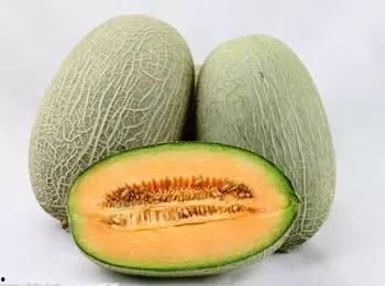 今日哈密瓜网纹瓜价格,品质之选，价格波动解析