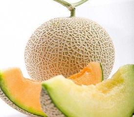 今日哈密瓜网纹瓜价格,品质之选，价格波动解析