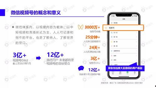 明星网红表白视频素材下载