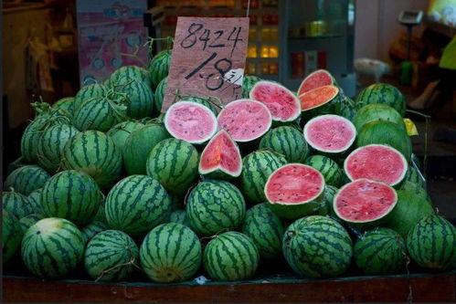 今日头条全家吃瓜,全家齐上阵，共享吃瓜盛宴