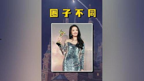 明星网红融不进的圈子