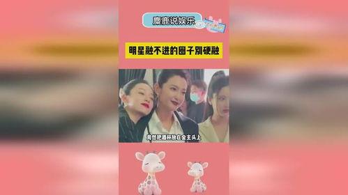 明星网红融不进的圈子