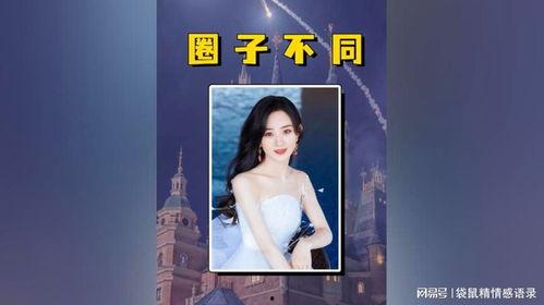 明星网红融不进的圈子