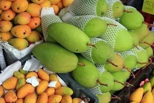 2024海南水果吊瓜今日价格,海南水果吊瓜2024年今日热销价格盘点