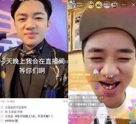 关于现在明星网红的说法,流量背后的真实面貌与争议解析