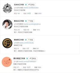 明星网红的资本运作,揭秘流量变现的秘密武器