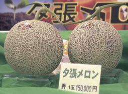 今日蜜瓜最新价格,甜蜜诱惑，品质升级