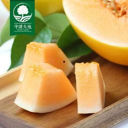 今日蜜瓜最新价格,甜蜜诱惑，品质升级