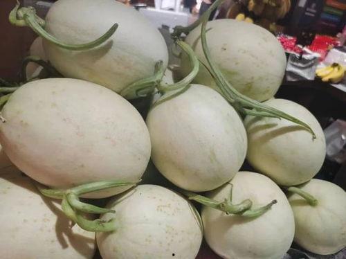 海南玉菇瓜今日价格行情最新