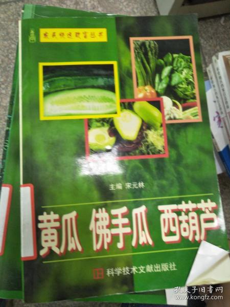西胡芦瓜今日价格,市场行情一览”