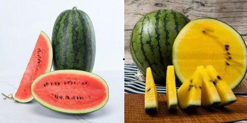 今日吃瓜肖静雯图片,肖静雯吃瓜瞬间，网友热议不断