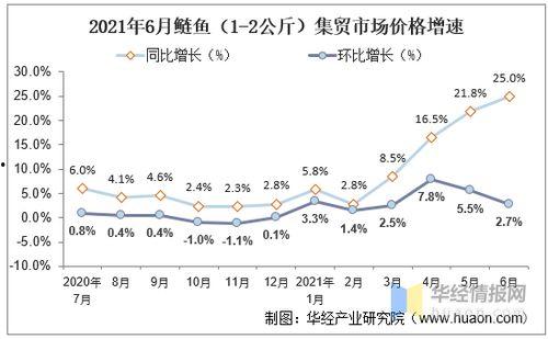 今日徐闻瓜菜行情走势,今日走势分析