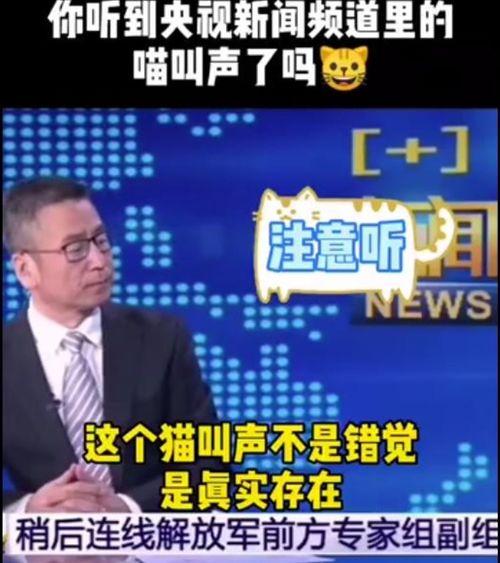 今日四川吃瓜新闻直播,盘点今日热点事件与民间热议