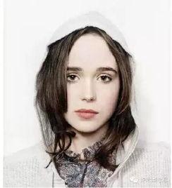 明星网红算什么东西,新时代的社交影响力代表