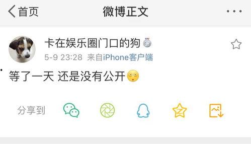 511今日吃瓜爆料,娱乐圈最新爆料大揭秘