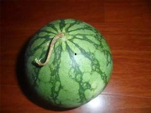 今日吃瓜必看,揭秘娱乐圈最新瓜料，吃瓜群众必看！